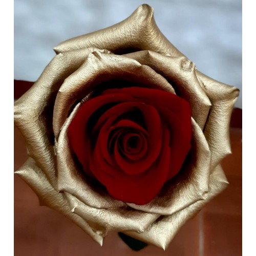 ROSE RED GOLD
